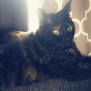 Meet your Posher, Tabitha